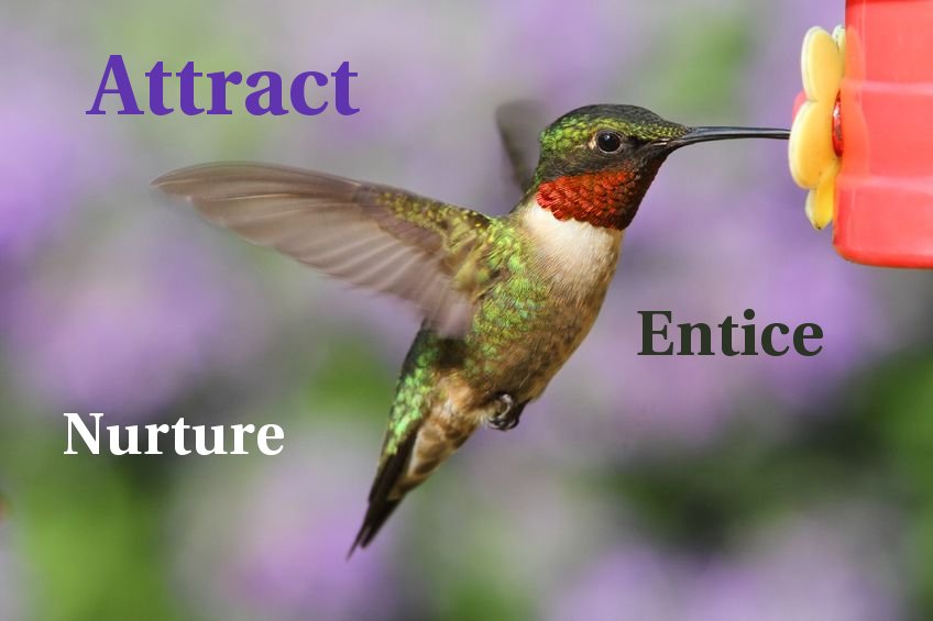 Inbound Marketing Entice Nurture Attract