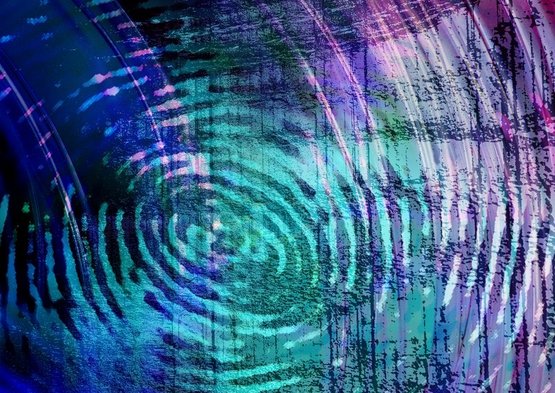 Digital Media fingerprint